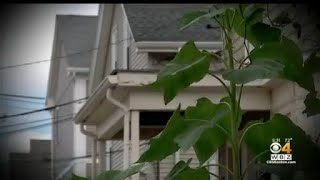 How to avoid apartment rental scams