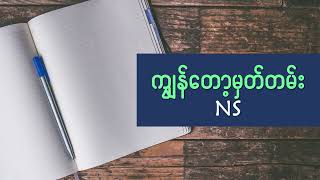 ကျွန်တော့မှတ်တမ်း - NS