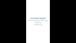 Sports Massage Level 3 Pectoralis Major Techniques v1.0