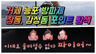 [처녀물고기] 제4화 거제 능포 방파제 원투낚시 참돔, 원투낚시 감성돔 원투낚시 대물 찾아 포인트 탐색 최초 야간 낚시 | 원투낚시 기초 처녀물고기와 함께~