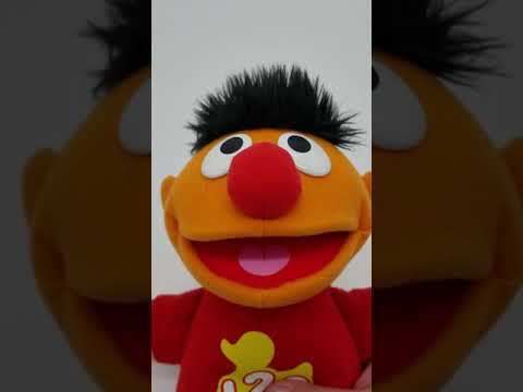 Counting Rubber Ducky Ernie Counting Rubber Ducky Ernie