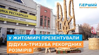 У Житомирі представили дідуха-тризуба рекордних розмірів