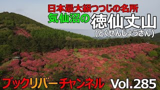 気仙沼市徳仙丈山の見事なツツジ Vol.285