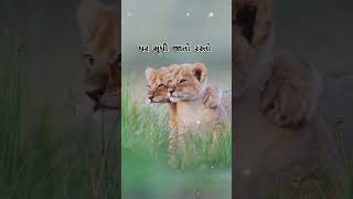 ભાઈબંધ 😟 #ભાઈબંધ #friendship #friendship_whatsapp_status #friendshipday ₹ #gujarat #shorts