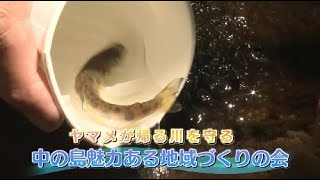 札幌ふるさと再発見　６月17日放送　ヤマメが帰る川を守る　中の島魅力ある地域づくりの会