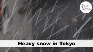 Heavy snow in Tokyo - The Japan News