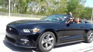 Montreal Ford Mustang