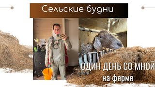 ОДИН ДЕНЬ НА ФЕРМЕ🔆Продажа козочки мурсиано гранадино🔆 Обучение в школе фермера