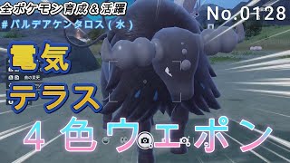 （全ポケ活躍、パルデアケンタロス（水）育成論）耐久・攻撃面共に強い！！４色の技を使い分ける器用アタッカー！！