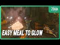 Easy Glow Effect Meal - Legend of Zelda: Tears of the Kingdom