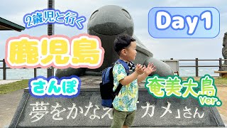 【観光Vlog】2歳児と行く鹿児島さんぽ〜奄美大島Ver.〜／4泊5日／夢を叶えるカメさん／あやまる岬観光公園