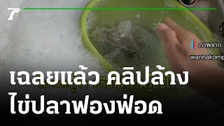 อ.เจษฎ์ เฉลยแล้ว คลิปล้างไข่ปลาฟองฟ่อดเต็มอ่าง | 27-07-65 | ข่าวเย็นไทยรัฐ