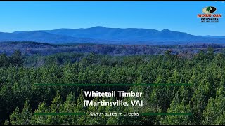 Whitetail Timber: 155+/- Acres of Planted Pine in Henry County, VA - Mossy Oak Properties