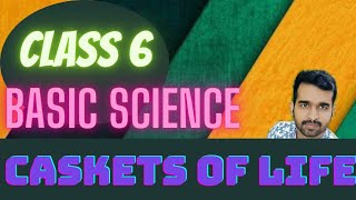 SCERT | CLASS 6 | Basic Science | Caskets of life | PART 1 | Kerala Syllabus | Kite victors