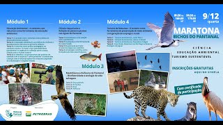 Webinar Maratona Bichos do Pantanal - Módulos 1 e 2