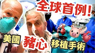 【有片！慎入】全球首例　美國病人移植豬心臟！高清全片來了！