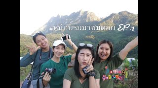 Road trip to Chiang Mai - ที่พักหลักร้อย วิวหลักล้าน บ้านลีซู โฮมสเตย์ อ.เชียงดาว | #หนีอบรมมาชมดอย