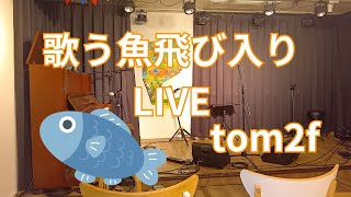 歌う魚飛び入りLIVE2024.11.13/tom2f