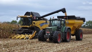 2x New Holland CX8050 - Peltijn Agri - mais dorsen