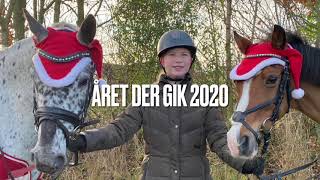 Året der gik 2020 et lærerigt år