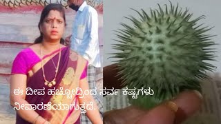 ಶಿವನಿಗೆ ತುಂಬಾ ಇಷ್ಟವಾದ ದೀಪ ಇದು .ಮರೆಯದೆ ಈ ಸಮಯದಲ್ಲಿ ದೀಪ ಹಚ್ಚಿ,ಶಿವನನ್ನು ಬೇಗ ಒಲಿಸಿಕೊಳ್ಳಿ.ಸರ್ವ ರೋಗ ಹಾಗು...