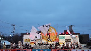 郷人・ファイナルコンテスト 黒潮よさこい祭り2019