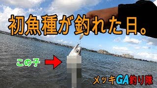 ＃メッキ　#沖縄ルアーフィッシング　初魚種が釣れた日。