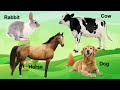 DOMESTIC ANIMALS | Learn Domestic Animals Sounds and Names For Children, Kids And Toddlers