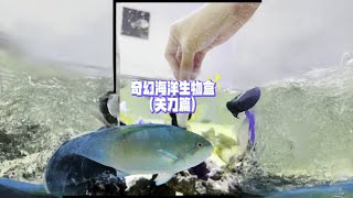 开拆奇幻海洋生物盒！这回的小动物怎么像小狗！ #海洋生物 #诺亚方缸