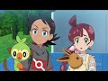 ash meets serena again in pokemon journey