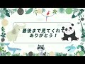 【子トラ】プールで遊ぶアサちゃん【‎2024年‎6月16日】【上野動物園】スマトラトラ