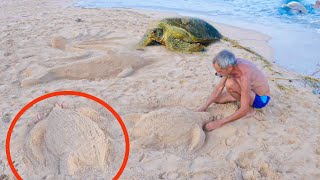 Making animals out of beach sandsand castle sand beach  vacation hawaii  big sand castles