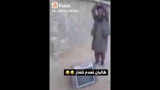 قوه يا طالبان