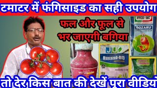 Tomato Farming In India | Profitable Tomato Forming | How to fastest Growing Tomato|Desi Kheti Jugad