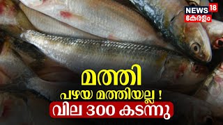 Kerala Fish Price Hike | മത്തി പഴയ മത്തിയല്ല ! വില 300 കടന്നു | Fish Price Increases In Kerala