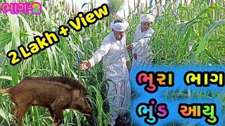 !! વિજુભા અને ભૂરુભાની પાછળ પડ્યું ભુંડ !! ભાગ-2 // full comedy videos 2020