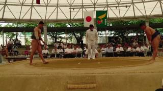 第６４回近畿高等学校相撲大会 個人 100キロ未満級 決 勝