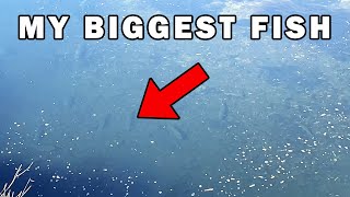 The Fish Of 500 Days - Catching My Biggest Fish EVER