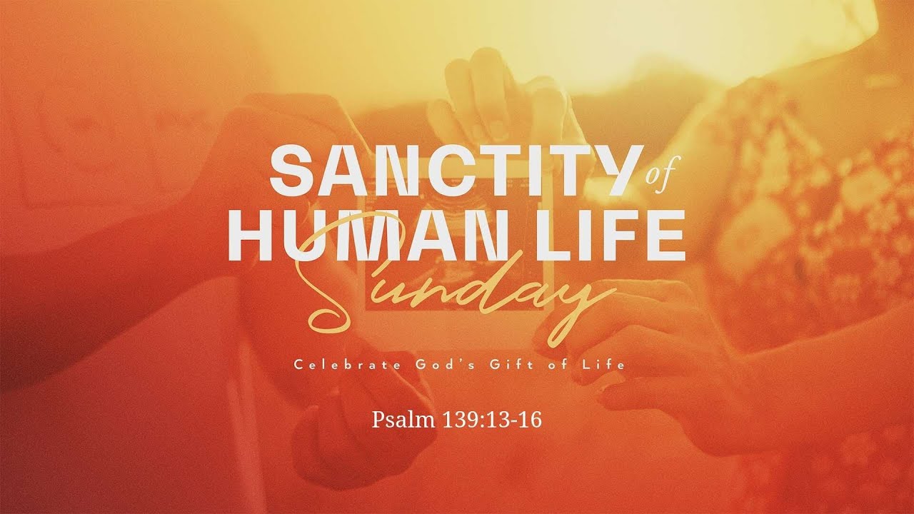 Livestream January 19 2025 Youtube