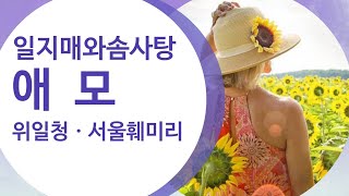 위일청 서울훼미리 애모  愛慕   주부애창가요 카페음악  한국인이 좋아하는 가요  가요 100선 K POP      K-POP  라이브 7080  통기타 기타연주