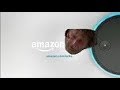 ►Introducing Amazon Echo Rick Grimes Edition