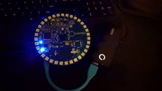 Matrix Pocketsphinx Demo