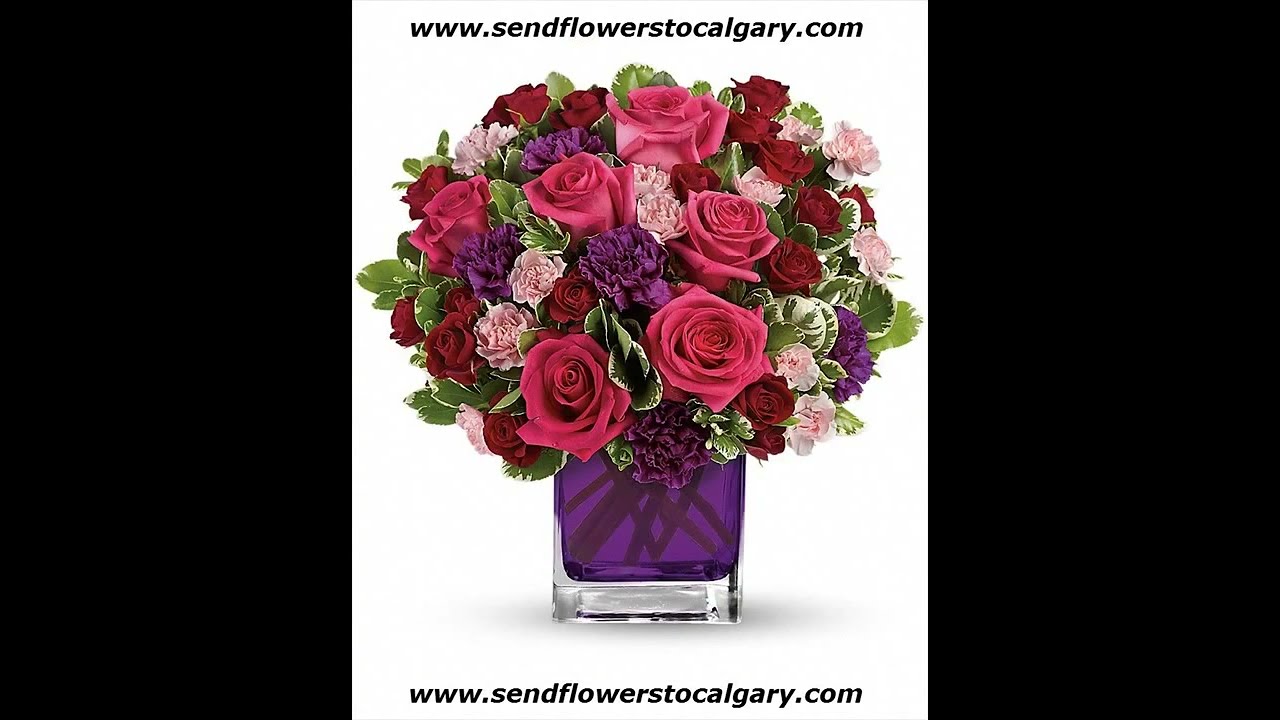 Safeway Flowers Calgary Ab | Best Flower Site