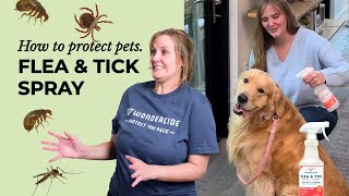 How To: Wondercide Flea \u0026 Tick Pets + Home spray