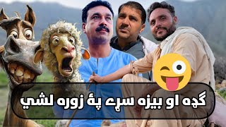 Pashto Funny Gap Shap | Pashto Poetry | Pashto Shayari | Zaiturahman ajaz new poetry