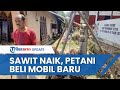 Harga Kelapa Sawit Melejit di Muarojambi, Para Petani Ketiban Rezeki, Ramai ramai Beli Mobil baru