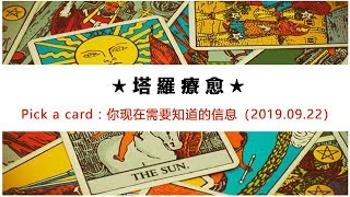 塔羅占卜(3選1)：你現在需要知道的信息（2019.09.22）