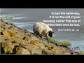 PATHWAYS OF HOPE :   “The Good Shepherd Seeks Us”