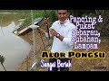 Memancing (memukat) Sebarau, Subahan, Lampam di Sungai Beriah, Alor Pongsu, Perak