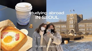 seoul diaries 🍞 *int'l yonsei student edition* moving into dorms, cafeteria food, cafe hopping